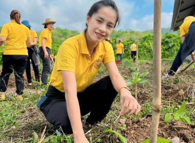 จัดกิจกรรมปลูกต้นไม้ ภายใต้โครงการ &quot;สหกรณ์อาสา ทำความดี ... พารามิเตอร์รูปภาพ 8